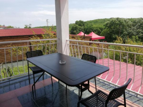 Comfortable studio with kitchen in guesthouse